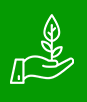Supporting the Environment